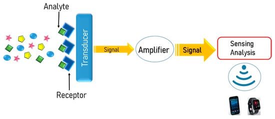 Chemosensors 09 00099 g001 550