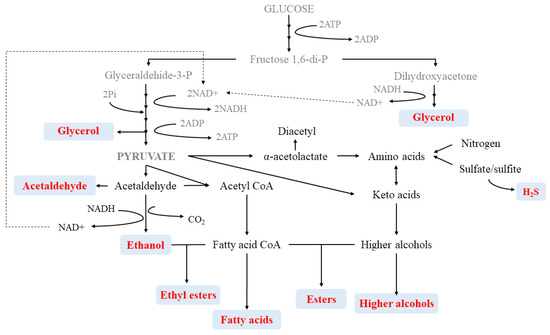 Foods 10 00051 g003 550