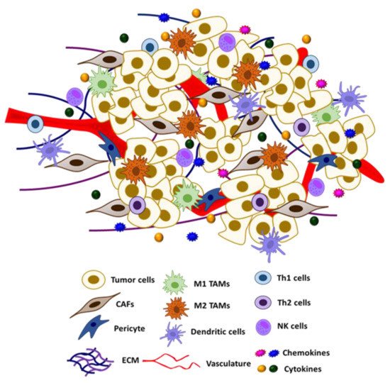 Ijms 22 04600 g002 550