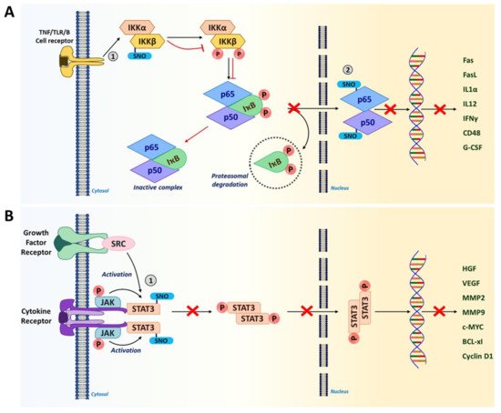 Ijms 22 04600 g003 550