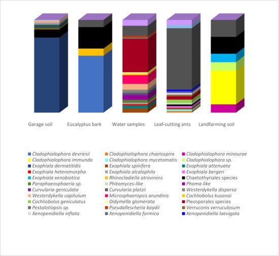 Microorganisms 09 01008 g002 550