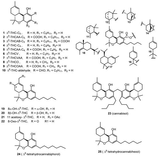 Molecules 26 02774 g001 550