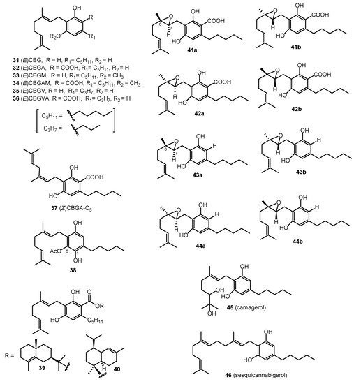 Molecules 26 02774 g003 550