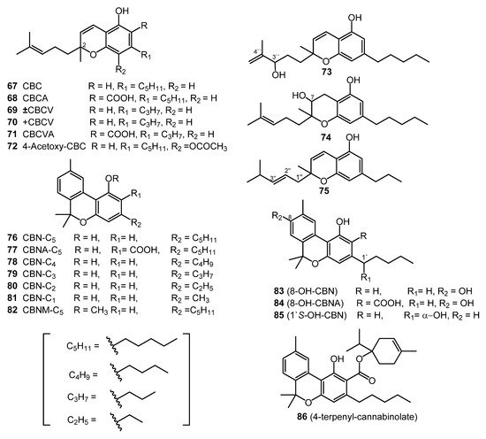 Molecules 26 02774 g005 550