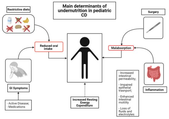 Nutrients 13 01611 g001 550