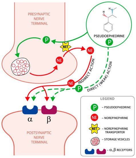 How Much Does Pseudoephedrine Increase Blood Pressure