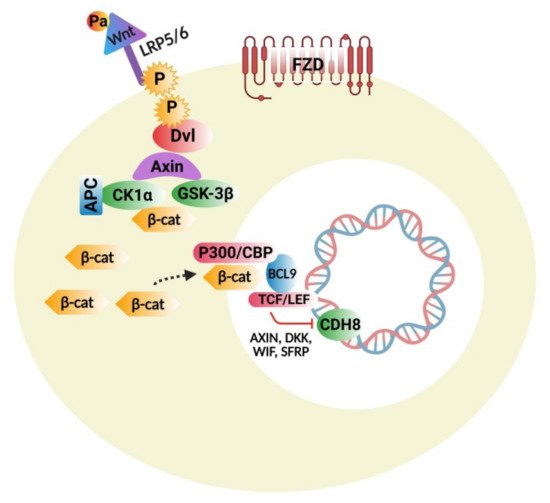 Cells 10 00958 g001 550