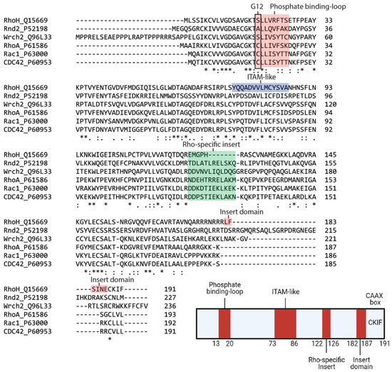 Cells 10 00950 g001 550