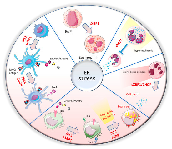 Cells 09 00695 g002 550