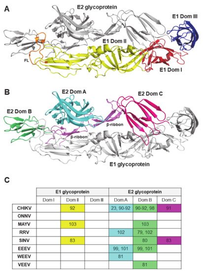 Microorganisms 09 00899 g001 550