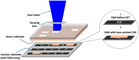 Chemosensors 09 00105 g006 550