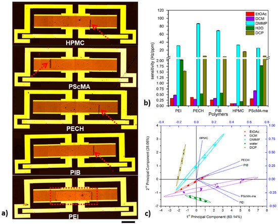 Chemosensors 09 00105 g008 550