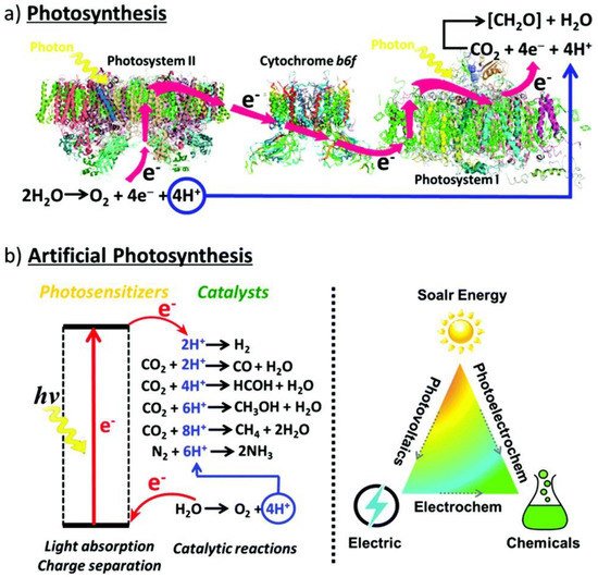 Nanomaterials 11 01249 g001 550