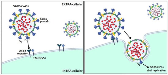 Pathogens 10 00611 g002 550