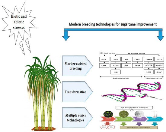 Agronomy 11 01042 g001 550