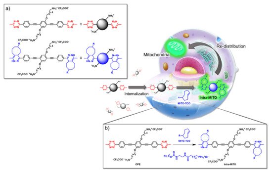 Molecules 26 03088 g002 550