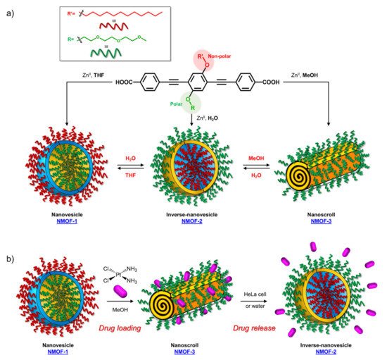 Molecules 26 03088 g003 550