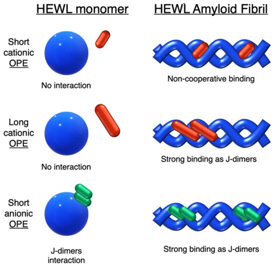 Molecules 26 03088 g004 550