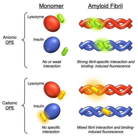 Molecules 26 03088 g005 550