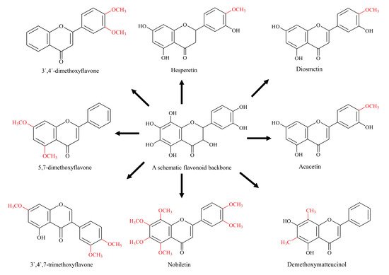 Biomolecules 11 00754 g002 550