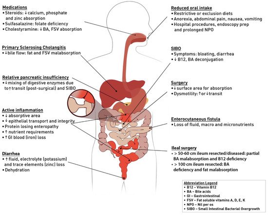 Nutrients 13 01581 g001 550