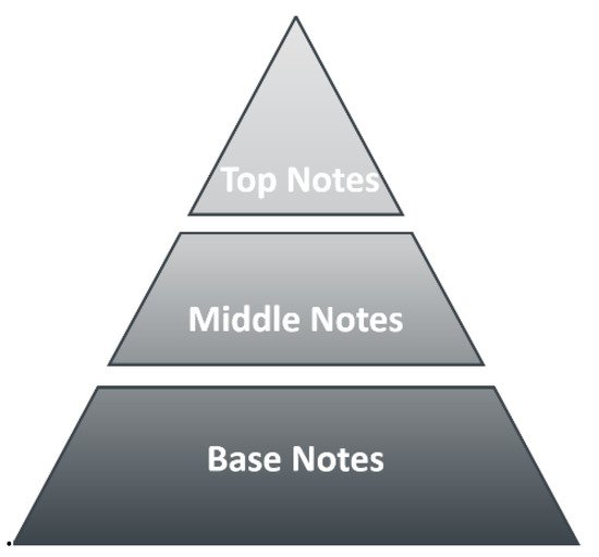 Top middle and online base notes