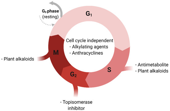 Pharmaceutics 13 00674 g001 550