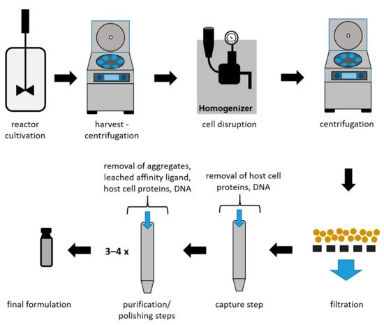 Processes 09 00874 g003 550