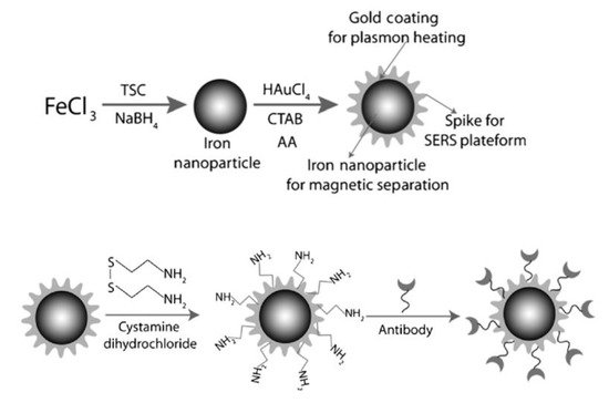 Nanomaterials 11 01215 g001 550