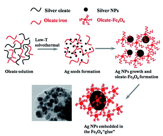 Nanomaterials 11 01215 g002 550