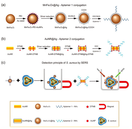 Nanomaterials 11 01215 g003 550