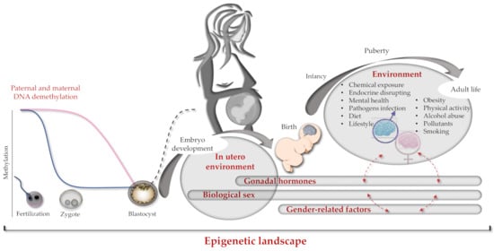 Genes 12 00782 g002 550