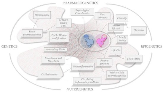 Genes 12 00782 g003 550