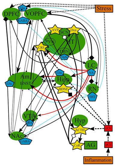 Cells 10 01283 g006 550