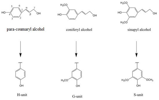 Molecules 26 02960 g001 550