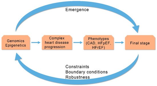 Cardiogenetics 11 00007 g003 550