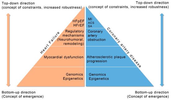 Cardiogenetics 11 00007 g004 550