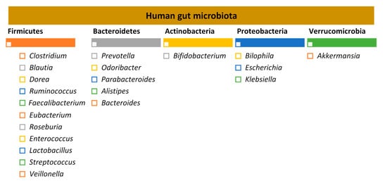 Nutrients 13 01716 g001 550