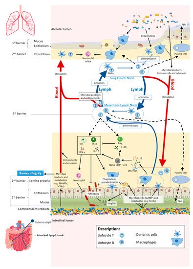 Nutrients 13 01716 g002 550