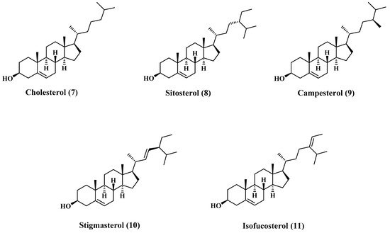 Polymers 13 01711 g002 550