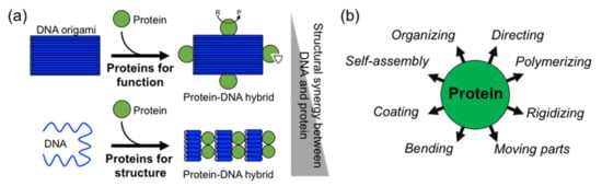 Nanomaterials 11 01332 g001 550