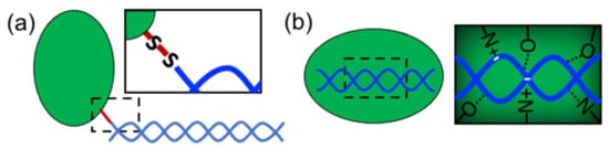 Nanomaterials 11 01332 g002 550