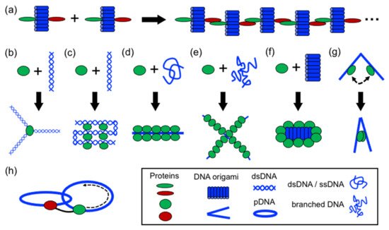 Nanomaterials 11 01332 g003 550