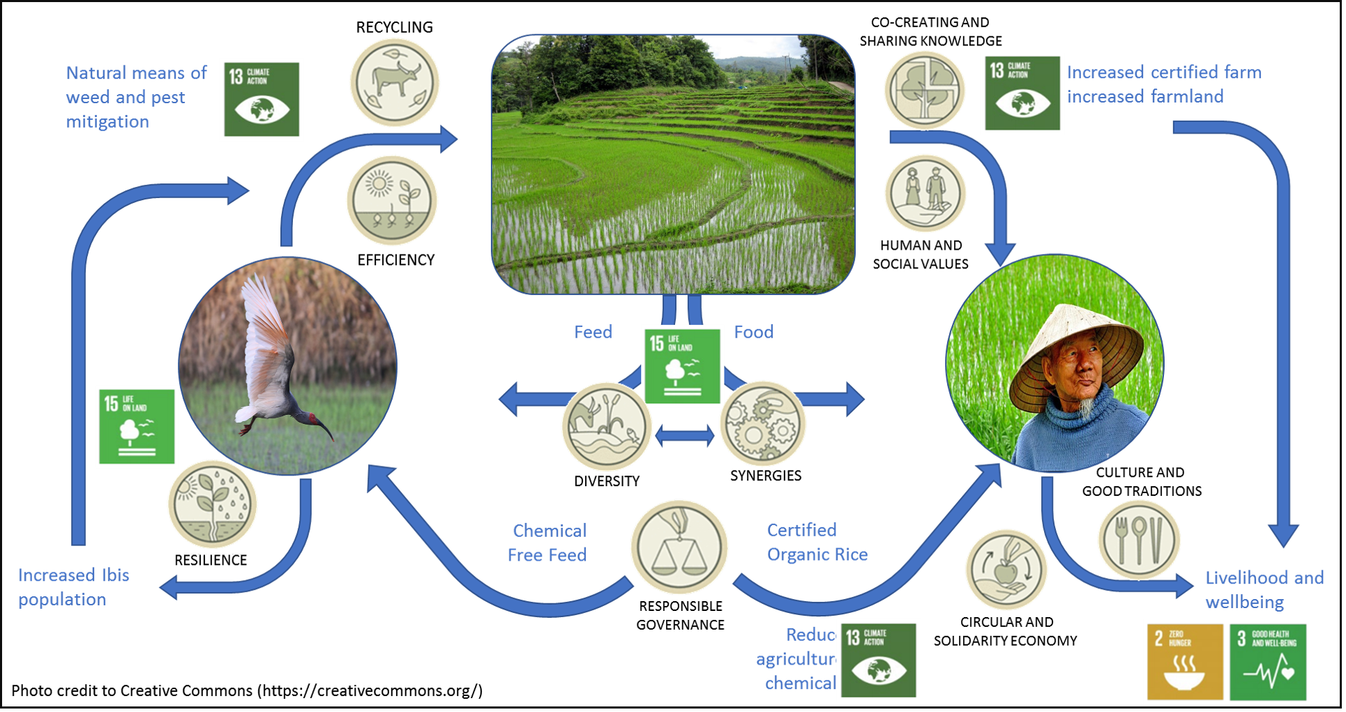 Figure 2. Relationship of the “Toki to Kurasu Sato” rice certification system with agroecology elements and Sustainable Development Goals (SDGs). This certification system is peculiar to Sado, aiming mainly at balancing agricultural promotion with environmental generation and promoting safe and sustainable rice production
