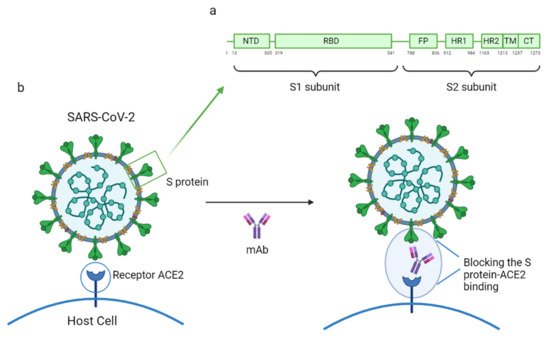 Vaccines 09 00557 g003 550