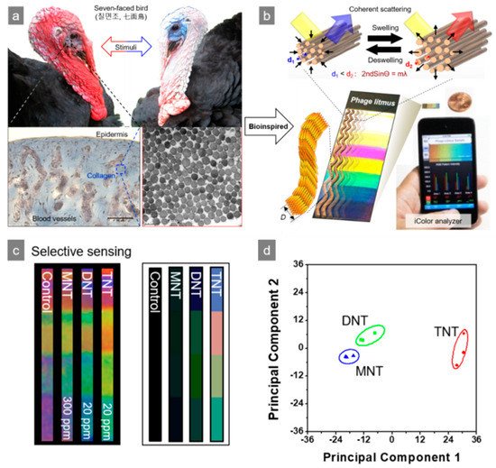 Nanomaterials 09 01448 g002 550