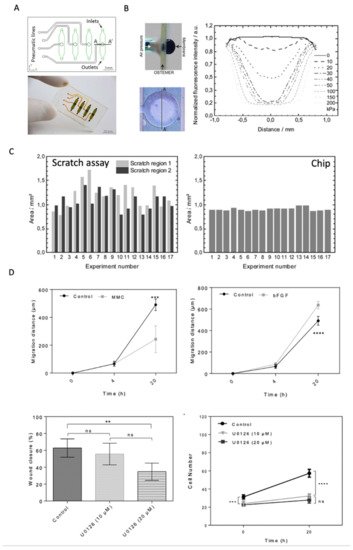 Pharmaceutics 13 00793 g006 550