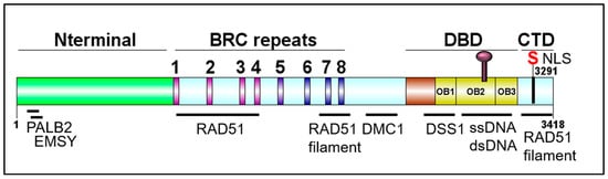 Genes 12 00780 g002 550