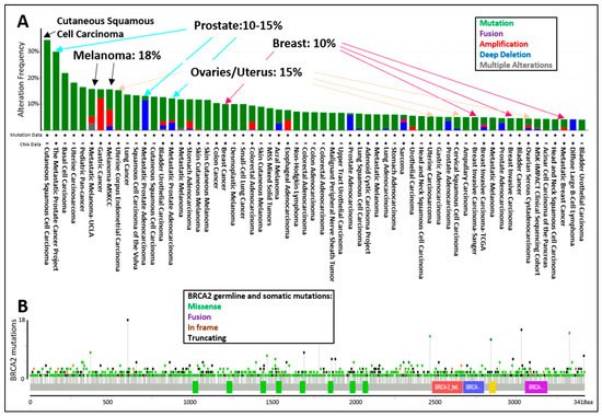 Genes 12 00780 g004 550