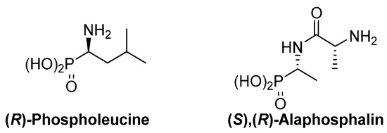 Molecules 26 03202 g003 550